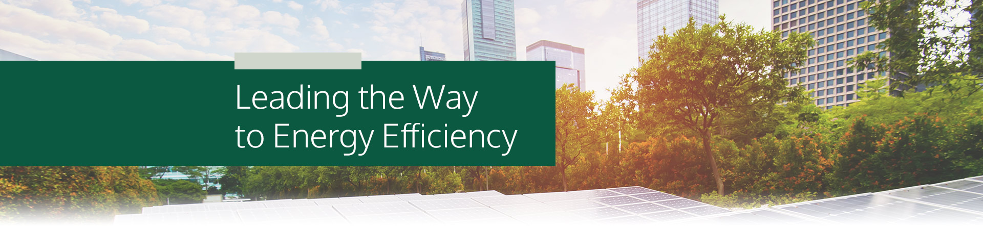 Energy Efficiency and Carbon Reduction