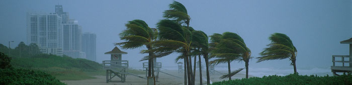 Hurricane Safety and Resources