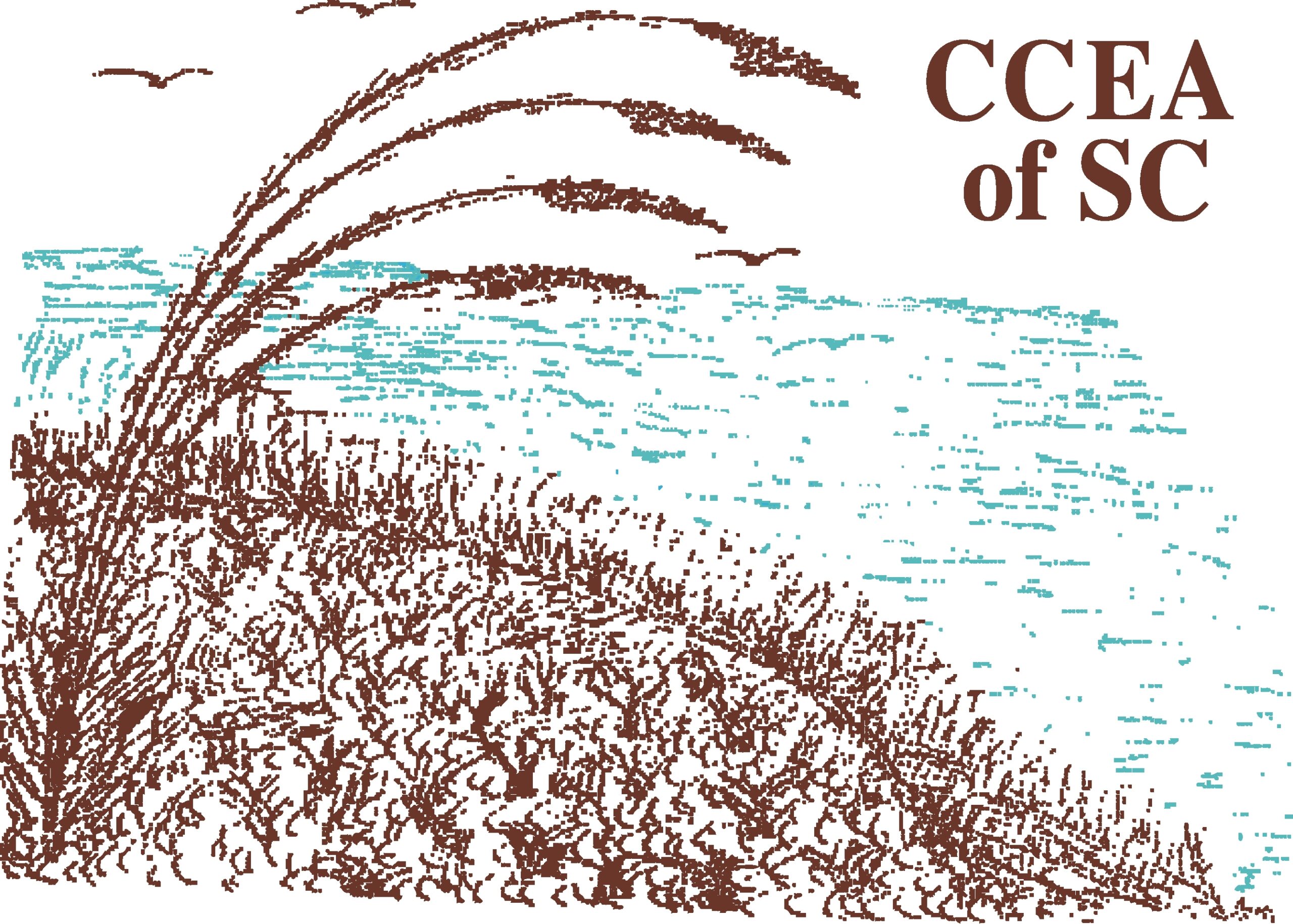 CCEA Of SC Logo Color 2010